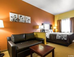 Sleep Inn & Suites Decatur downtown Genel