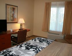 Sleep Inn & Suites Dover Genel