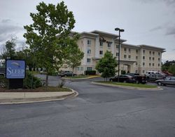 Sleep Inn & Suites Laurel Genel