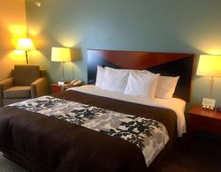 Sleep Inn & Suites Rapid City Genel
