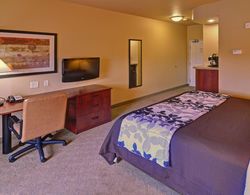 Sleep Inn & Suites Tyler Area Genel