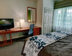 Sleep Inn & Suites Winchester Area Genel