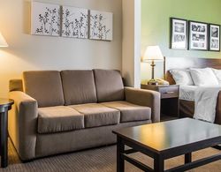 Sleep Inn & Suites Wisconsin Rapids Area Genel