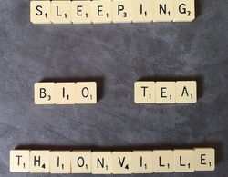 Sleeping Bio Tea - B&B Dış Mekan