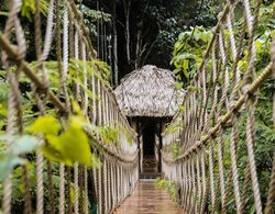 Sleeping Giant Rainforest Lodge Genel