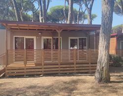 Small Camp Roma Capitol, Mobile Home It-std-41 2 Dış Mekan