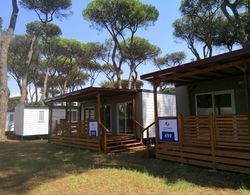 Small Camp Roma Capitol, Mobile Home It-std-41 3 Dış Mekan