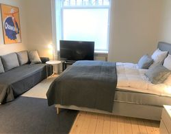 Small Cozy Apartment in Frederiksberg Oda Düzeni