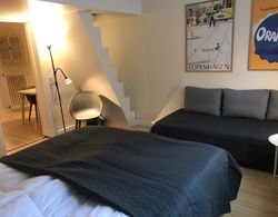 Small Cozy Apartment in Frederiksberg Oda Düzeni