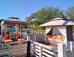 Sonesta Resort Hilton Head Havuz