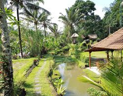 Song Broek Jungle Resort Genel