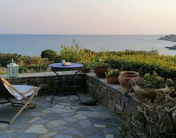 Villa Sophia Paros  Beachfront Sea View Dış Mekan