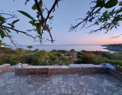 Villa Sophia Paros  Beachfront Sea View Dış Mekan