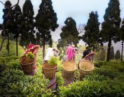 Sourenee Tea Estate & Boutique Resort Dış Mekan