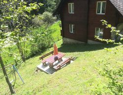 Spacious Chalet with Sauna near Ski Area in Wolfsberg Dış Mekan