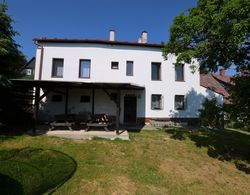 Spacious Cottage for Groups With Billiards and Sauna With 8 Bedrooms Dış Mekan