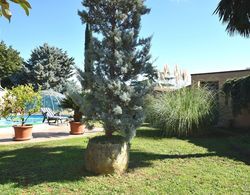 Spacious Holiday Home With Private Pool in Verteneglio Dış Mekanlar