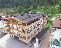 Spacious Apartment in Gerlos near Ski Area Dış Mekan