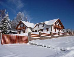 Spacious Villa in Lipno nad Vltavou With Sauna, Garden Öne Çıkan Resim