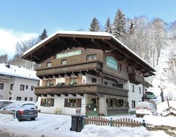 Spacious Apartment in Salzburg near Ski Area Dış Mekan