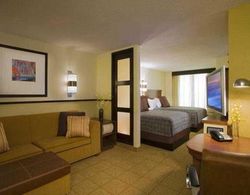 SpringHill Suites Birmingham Downtown at UAB Genel