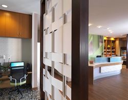 Springhill Suites by Marriott Charleston Mount Pleasant Genel