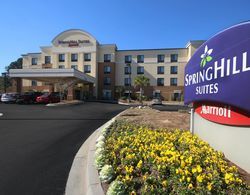SpringHill Suites by Marriott Charleston N./Ashley Phosphate Genel