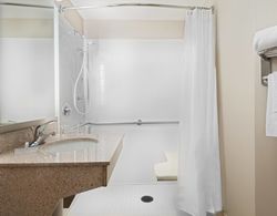 SpringHill Suites by Marriott Cleveland/Solon Genel