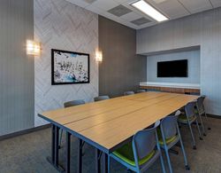 SpringHill Suites by Marriott Denver West/Golden Genel