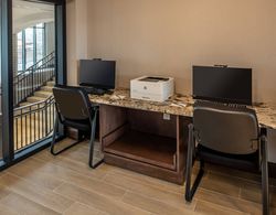 SpringHill Suites by Marriott Fort Worth Historic Stockyards Genel