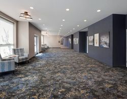 SpringHill Suites by Marriott Indianapolis Keystone Genel