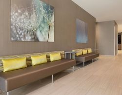 SpringHill Suites by Marriott Milwaukee West/Wauwatosa Genel