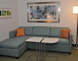 SpringHill Suites Cincinnati North / Forest Park Genel