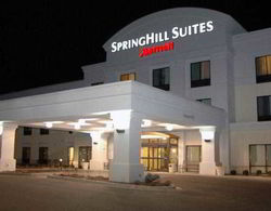 SpringHill Suites Grand Rapids Airport Southeast Genel