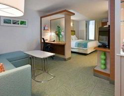 SpringHill Suites Indianapolis Downtown Genel
