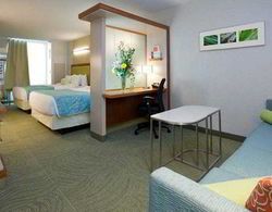 SpringHill Suites Indianapolis Downtown Genel
