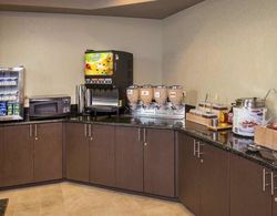 SpringHill Suites State College Genel
