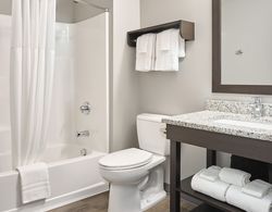 StayAPT Suites Goldsboro-Seymour Johnson AFB Banyo Tipleri