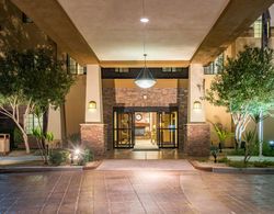 Staybridge Suites Phoenix-Glendale Genel