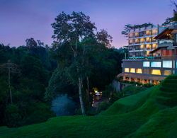 Sthala, A Tribute Portfolio Hotel Ubud Bali Genel