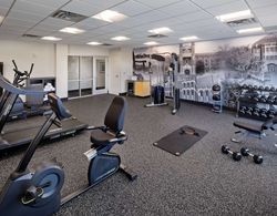 Stone Hill Norman, Trademark Collection by Wyndham Fitness