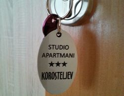 Studio Apartments Korosteljev İç Mekan