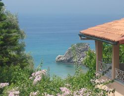 Studio Apartment Tonia With sea View and Garden - Pelekas Beach, Corfu Dış Mekan