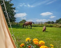 Stunning 1-bed Star Gazing Bell Tent Loughborough Dış Mekan