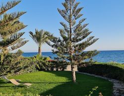 Stunning 5-bed Beach Front Villa, Private Beach Dış Mekan