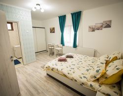 Stunning 5 Bed House in Campulung Moldovenesc Oda Manzaraları