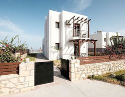 Sun-kissed Villa in Latsimas With Swimming Pool and Garden Dış Mekan