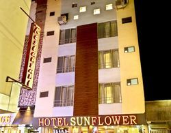 Hotel Sunflower Dış Mekan