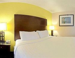 Super 8 by Wyndham Irving DFW Airport/South Genel
