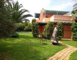 Superbe villa marocaine palmeraie Dış Mekan